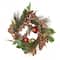 Worth Imports 14" Mixed Pine & Fruit Christmas Gilded Wreath